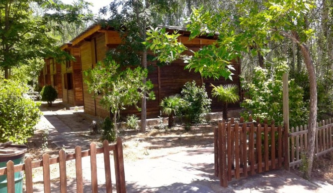 Camping Alpujarras