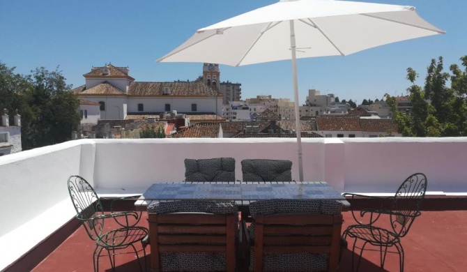 Big and cozy apartment with a big terrace in the center of the old town