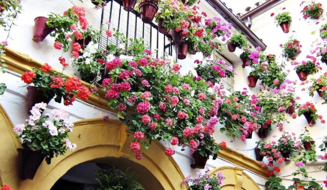 Casa en Marbella