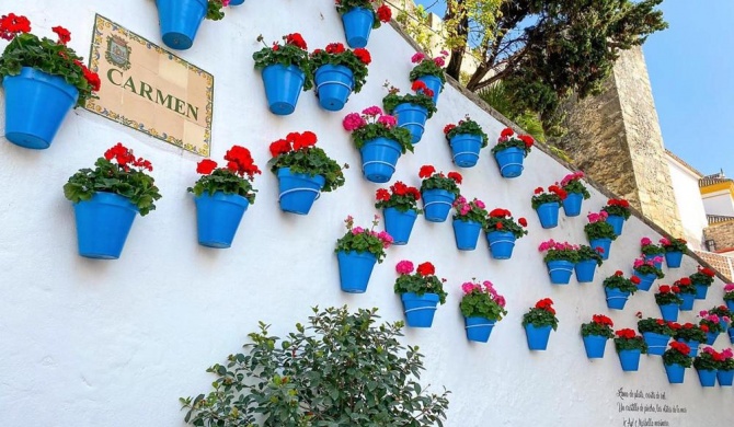 Idyllic Townhouse in Marbella Old Town