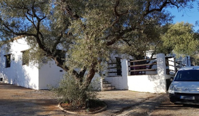 Gateway to the Alpujarras, 'Cortijo Derry'