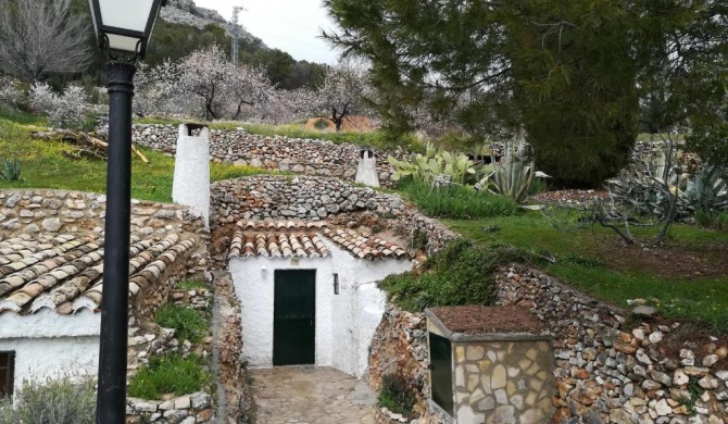 Cueva El Madrono