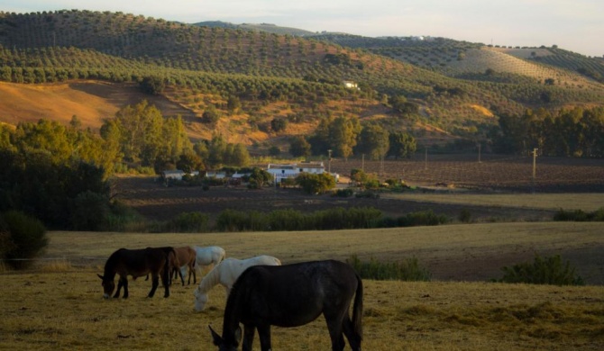 Casa Rural Asiento del Río