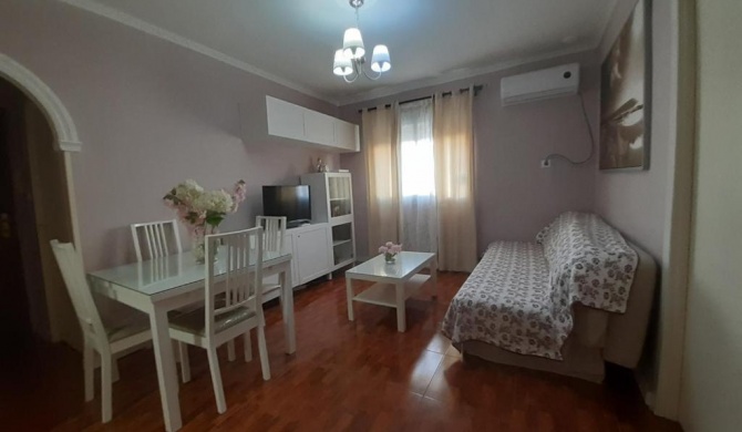 Apartamento Zona Norte