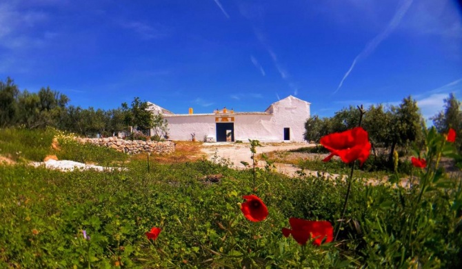 Cortijo Mezquetillas